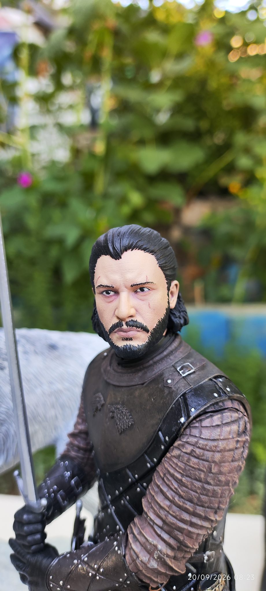 jon snow ghost - 6